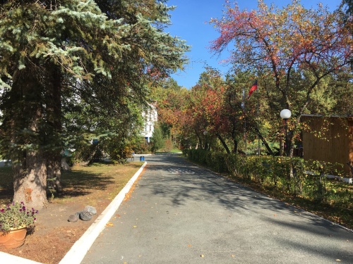 ... люблю декорации эти, трагедию ивы и клена люблю