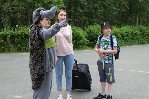 Говорят, увидеть в лесу ежа — к скорому исполнению заветного желания