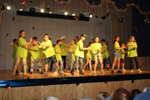 Зеленый концерт, в защиту окружающей среды